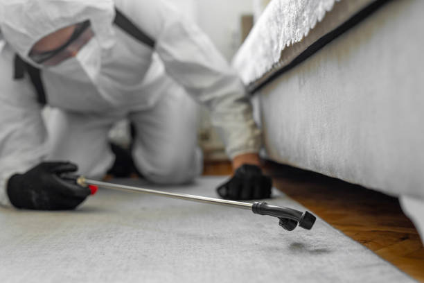 Professional Bed Bug Control technician working in Rushville, NE