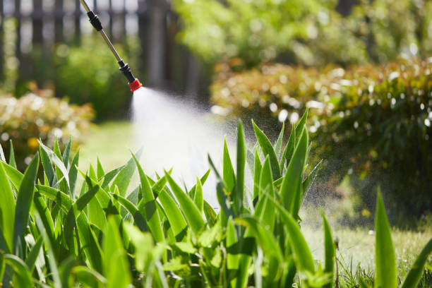 24/7 Emergency Bed Bug Control experts in Rushville, NE